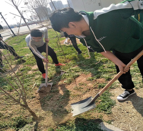 植树5.jpg